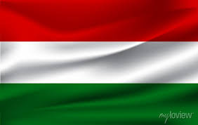 Proč se učím maďarsky?